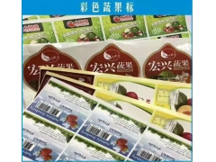 标签印刷技术全解析：一枚小标签背后的大学问