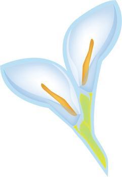 <a href='/product/product-0001,0002.shtml' class='keys' title='点击查看关于不干胶印刷机的相关信息' target='_blank'>不干胶印刷机</a>